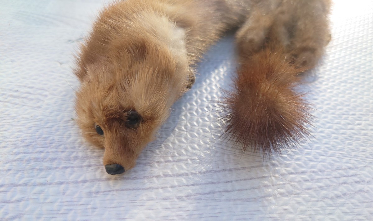 現状品】フェイク 頭付き 襟巻き ショール ファー マフラー 現状品】フェイク 頭付き 襟巻き ショール ファー マフラー