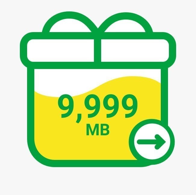 mineo 9999 MB【送無・匿名】 マイネオ パケットギフトコード （約10GB・約9.76GB）【２】_画像1