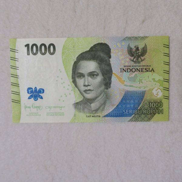 【送料６３円】 インドネシア　１０００ルピア紙幣　２０２２年/２０２３年_画像1