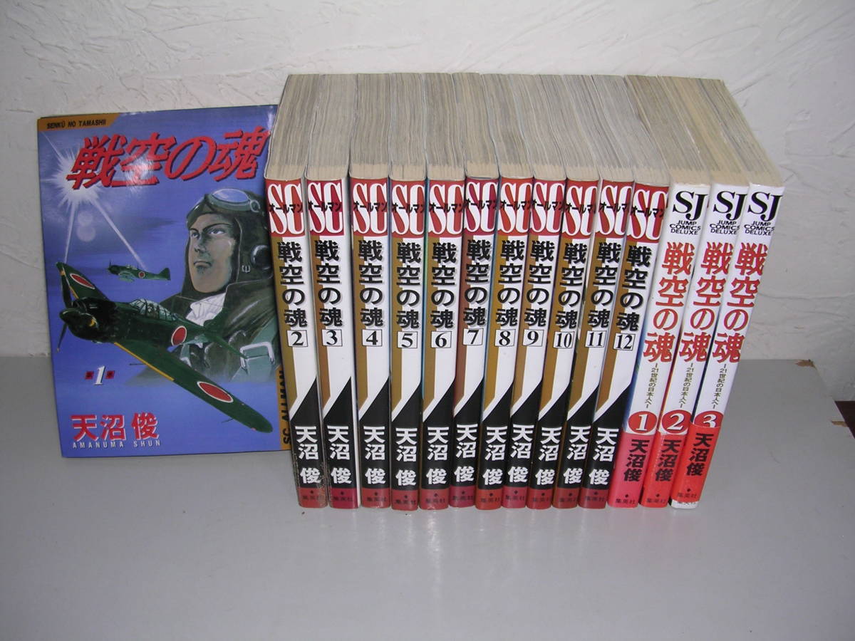 戦空の魂 全12巻＋戦空の魂 21世紀の日本人へ 全3巻■天沼俊_画像1