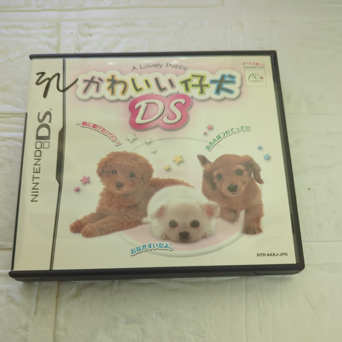 【DS】 かわいい仔犬DS　取扱説明書なし_画像1