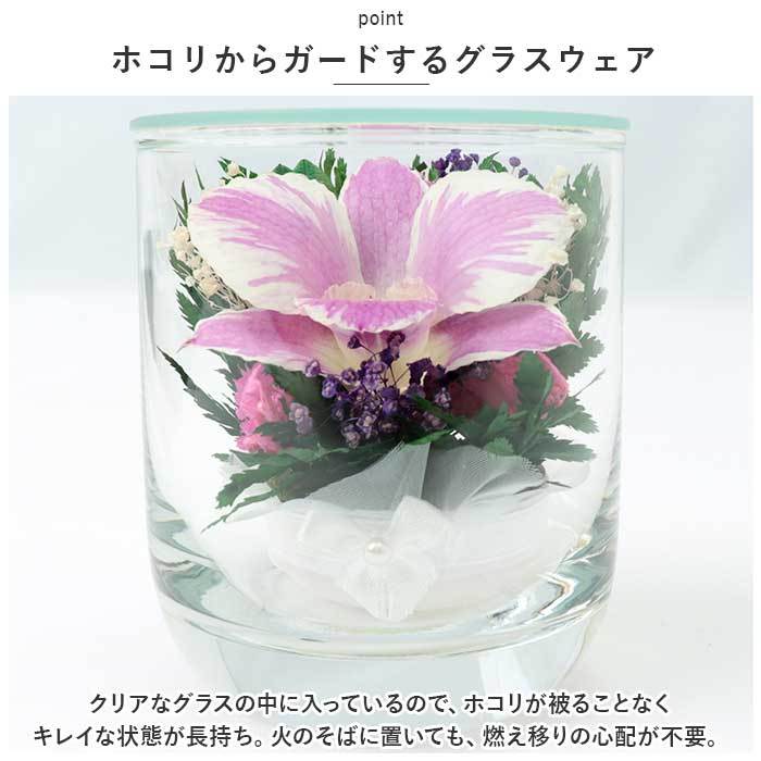 * purple *o- Kid glass S dry flower glass case o- Kid glass S... flower artificial flower . flower family Buddhist altar for arrangement flower 