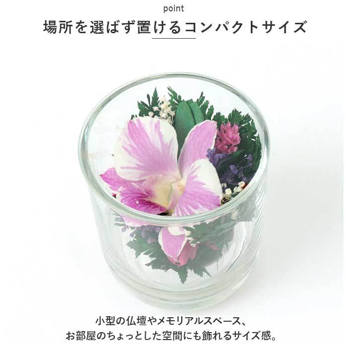 * purple *o- Kid glass S dry flower glass case o- Kid glass S... flower artificial flower . flower family Buddhist altar for arrangement flower 