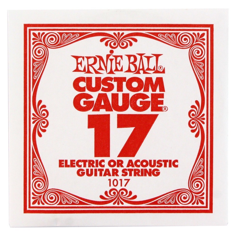 アーニーボール ERNIE BALL 1017 PLAIN STEEL 017 ギター用バラ弦_画像1