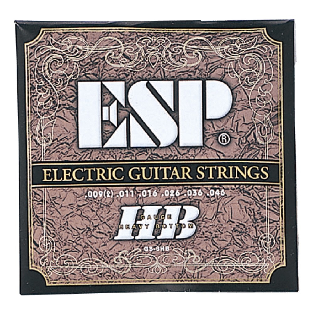 ESP イーエスピー GS-6HB エレキギター弦_画像1