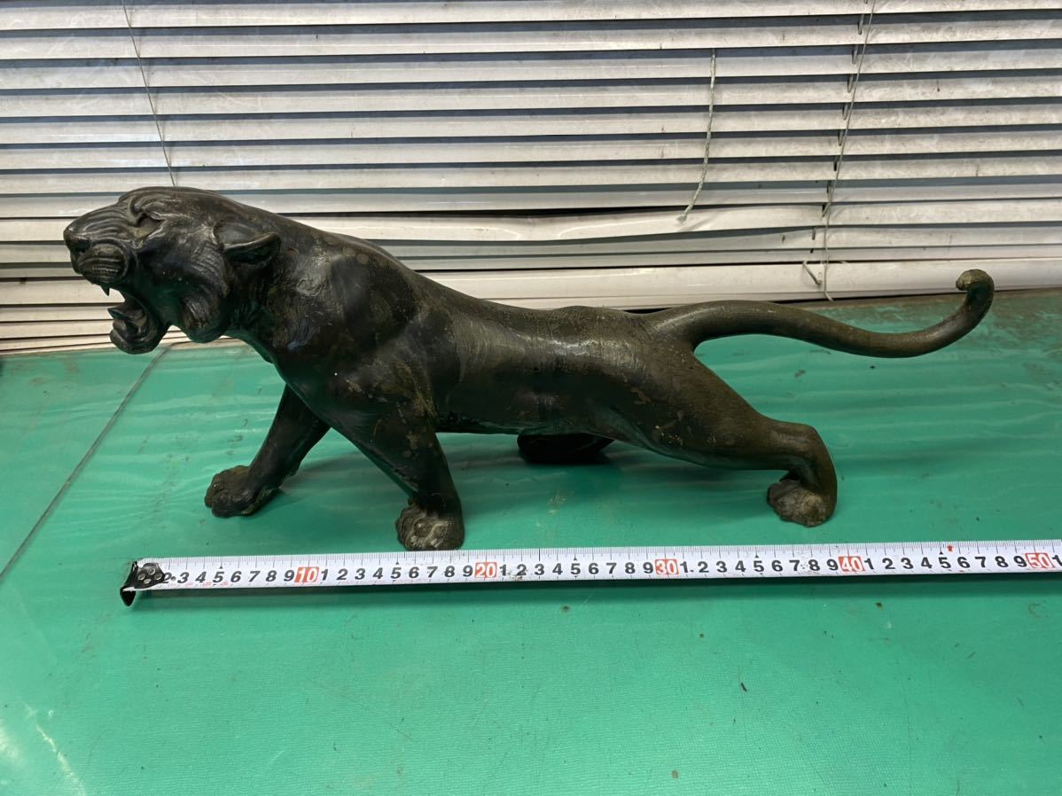 (1859) 時代物 鋳銅造「猛虎」幅48.5cm 高22cm 重3.5kg・銅虎・とら・トラ・寅 置物