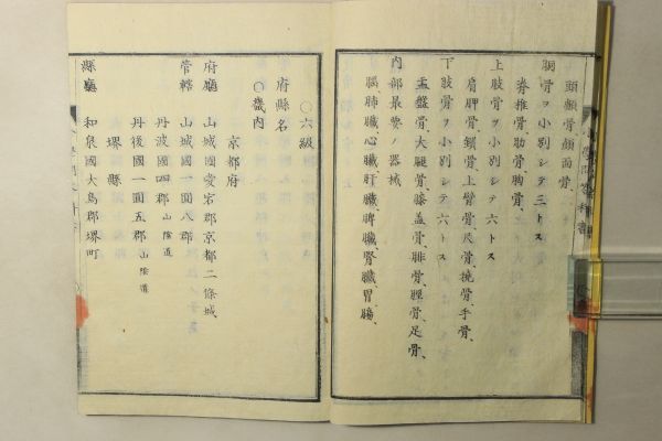 「小学問答科書 全」学務課 京都府蔵版 明治12年 1冊｜教科書 解剖学 医学書 人体 彩色 絵入り 木版画 明治時代 戦前 古書 和本 古典籍 n90_画像9