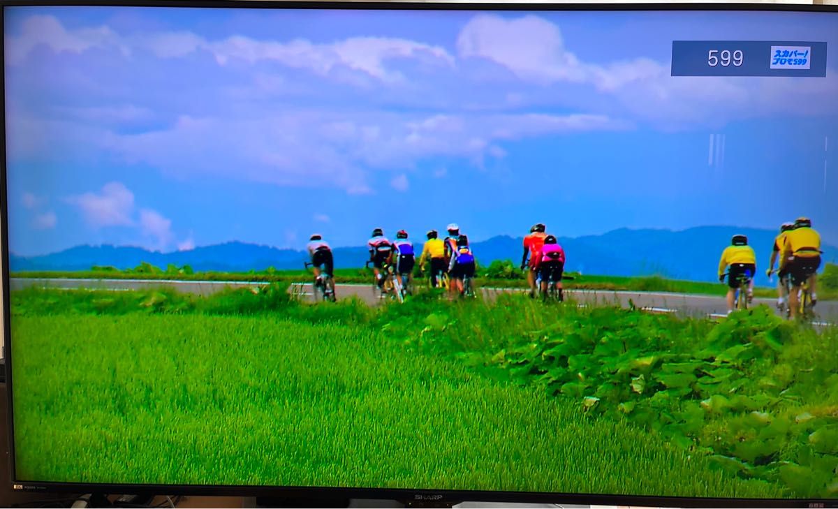 Panasonic スカパー チューナー TZ-WR320P HDD動作確認済|Yahoo Panasonic スカパー チューナー TZ-WR320P HDD動作確認済|Yahoo