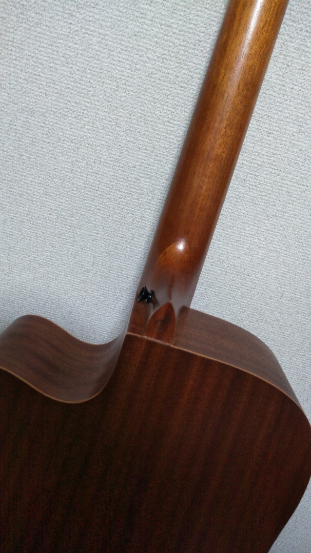 純正直営店 ★ハトの絵柄が素敵なアコースティックギター アコギ Acoustic Guitar★