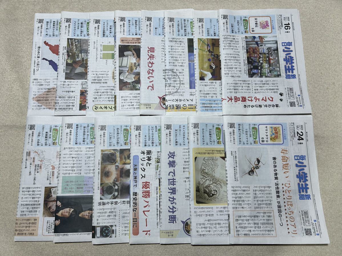 即決 毎日小学生新聞 11/1～11/30まで1か月分 哲学・鉄道・Z会・昆虫・科学・英語_画像2