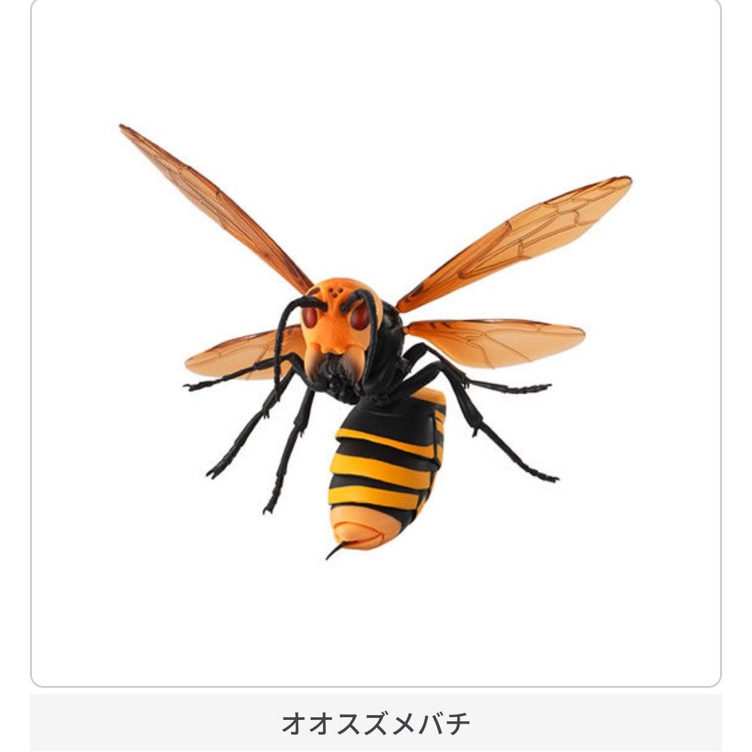 いきもの大図鑑 すずめばち01 全３種類 新品 リアルフィギュア 昆虫 ガシャポン ガチャ 大きいフィギュア 原色 昆虫図鑑