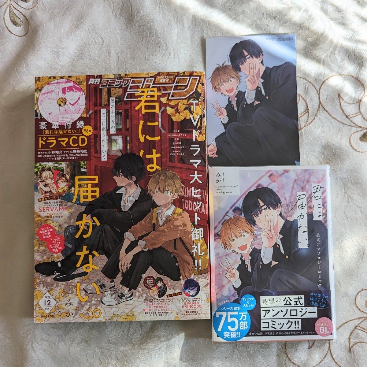 新品 特典付 君には届かない。1～8巻 アニメイト限定 小冊子 ゆるきゅんBLフェア カード 公式アンソロジー ドラマCD 第6弾