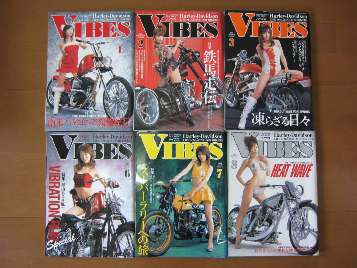 VIBES 2005 year 1 month ~3 month 6 month ~12 month 10 pcs. set ba Eve s Harley 