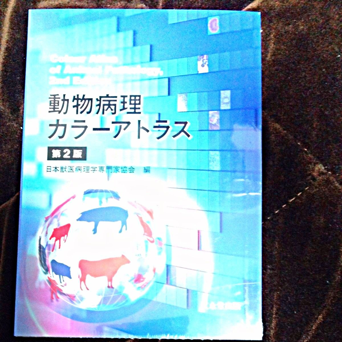 入荷実績 【未開封 】動物病理カラーアトラス 第２版 日本獣医病理学