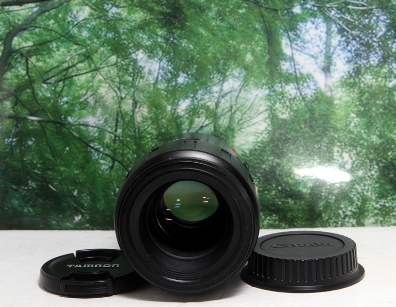 タムキューと愛される単焦点 TAMRON SP90 F2 8 172E canon用 タムキューと愛される単焦点 TAMRON SP90 F2 8 172E canon用