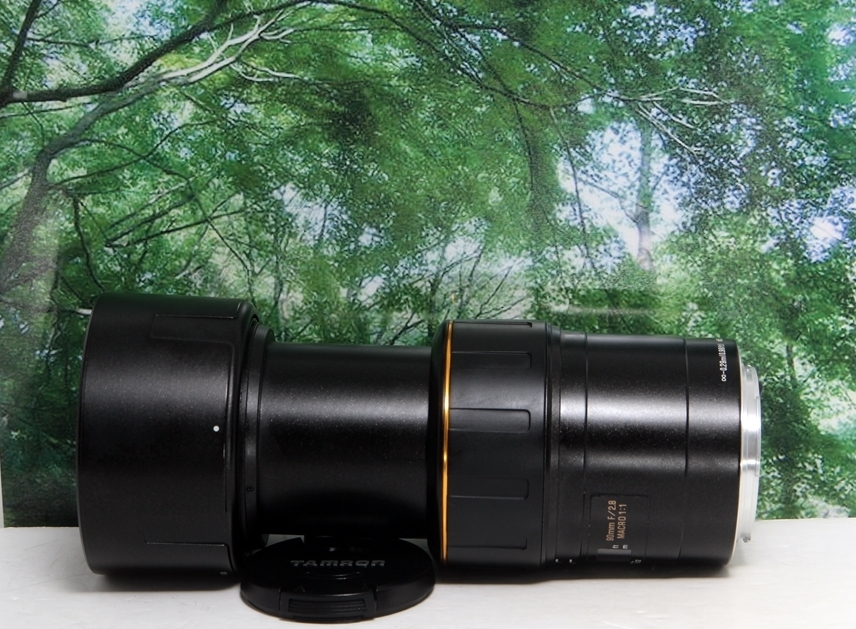 タムキューと愛される単焦点 TAMRON SP90 F2 8 172E canon用 タムキューと愛される単焦点 TAMRON SP90 F2 8 172E canon用