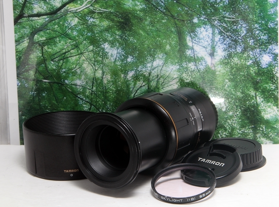 タムキューと愛される単焦点 TAMRON SP90 F2 8 172E canon用 タムキューと愛される単焦点 TAMRON SP90 F2 8 172E canon用
