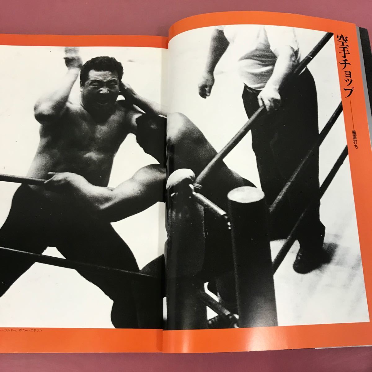 D07-004 фотоальбом BEST HIT SERIES The * сила дорога гора Showa 58 год 9 месяц 10 день выпуск Champion * load Professional Wrestling 