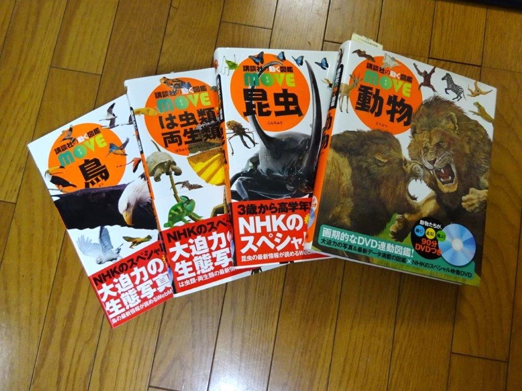 4冊セット 送料込 講談社の動く図鑑Move 動物/昆虫/は虫類 4冊セット 送料込 講談社の動く図鑑Move 動物/昆虫/は虫類
