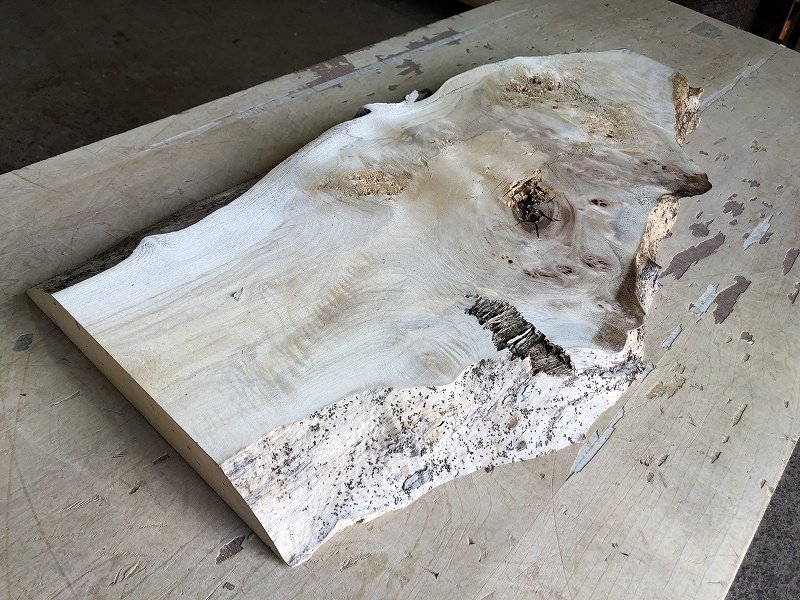 【EK12S】ポプラ 675×～350×37㎜ 瘤杢 一枚板 材料 天然木 無垢材 木材 希少材 乾燥材 銘木 木工 DIY レジン用《銘木登屋》_画像4
