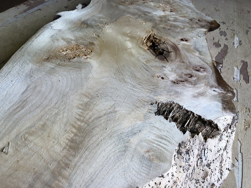 【EK12S】ポプラ 675×～350×37㎜ 瘤杢 一枚板 材料 天然木 無垢材 木材 希少材 乾燥材 銘木 木工 DIY レジン用《銘木登屋》_画像5