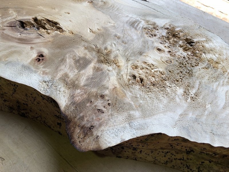 【EK12S】ポプラ 675×～350×37㎜ 瘤杢 一枚板 材料 天然木 無垢材 木材 希少材 乾燥材 銘木 木工 DIY レジン用《銘木登屋》_画像3
