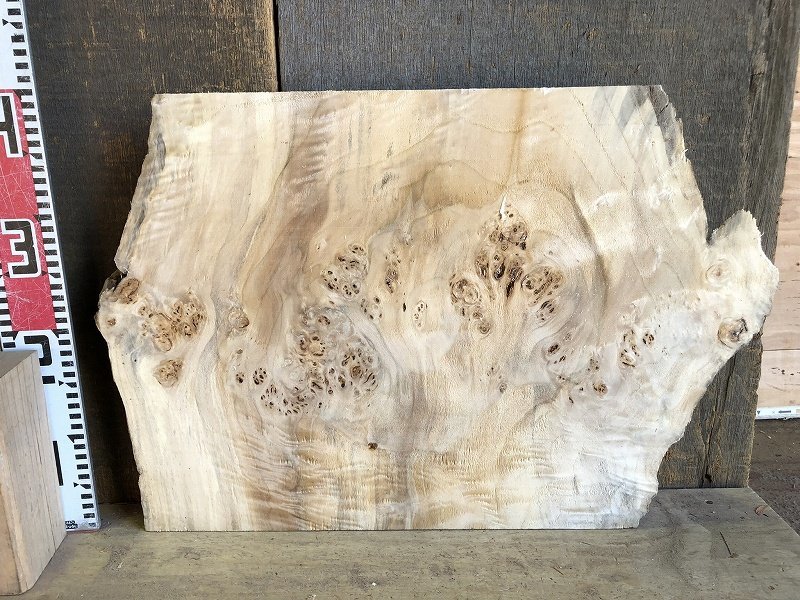 【EA425R】ポプラ 393×～570×53㎜ 瘤 瘤杢 一枚板 材料 天然木 無垢材 木材 希少材 乾燥材 銘木 木工 レジン用 DIY《銘木登屋》_画像10