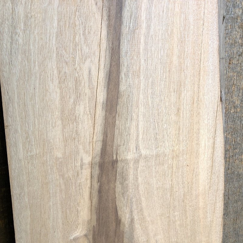 【EK8F】マンソニア 755×265×18㎜ アフリカンブラックウォルナット 一枚板 材料 天然木 無垢材 乾燥材 銘木 材木 木工《銘木登屋》_画像10