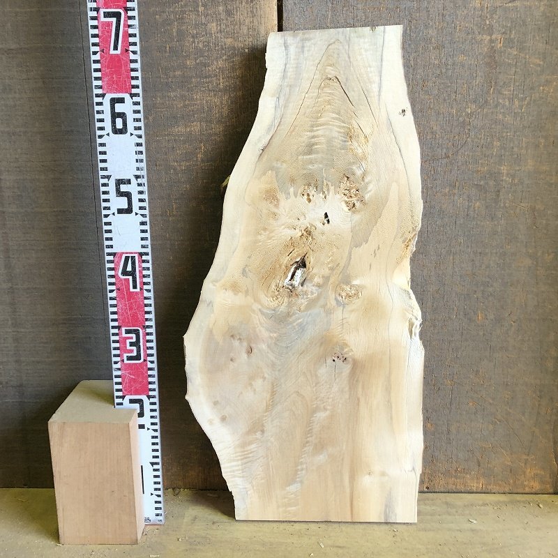 【EK12S】ポプラ 675×～350×37㎜ 瘤杢 一枚板 材料 天然木 無垢材 木材 希少材 乾燥材 銘木 木工 DIY レジン用《銘木登屋》_画像9