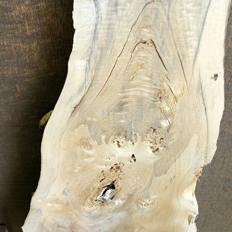 【EK12S】ポプラ 675×～350×37㎜ 瘤杢 一枚板 材料 天然木 無垢材 木材 希少材 乾燥材 銘木 木工 DIY レジン用《銘木登屋》_画像10