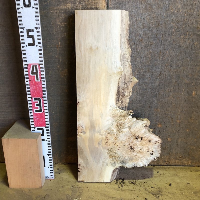 【EK68S】ポプラ 545×～280×40㎜ 一枚板 材料 天然木 無垢材 木材 希少材 乾燥材 銘木 木工 DIY《銘木登屋》_画像6