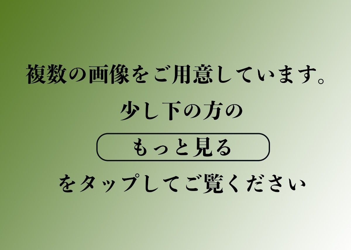 志野 茶碗 　十二代 加藤 景秋 天皇陛下献上品？ 二重箱 共箱・骨董・古美術・時代物・アンティーク・ヴィンテージ_画像5