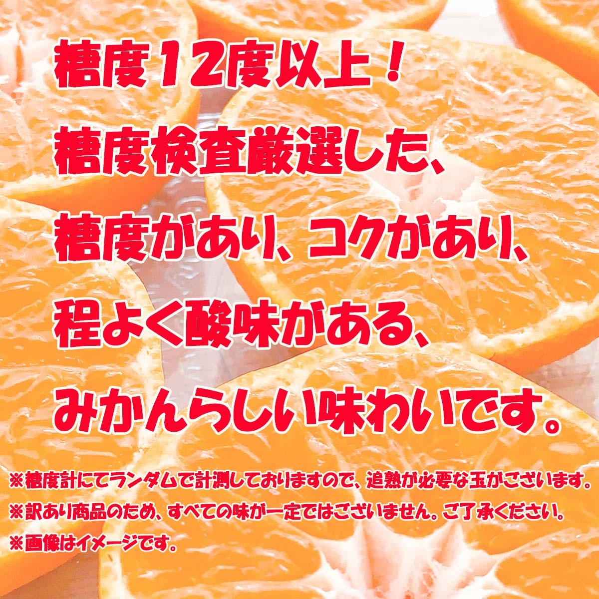 愛媛県産 温州 みかん Mサイズ Lサイズ 混合 5kg 愛媛みかん 柑橘 温州みかん お取り寄せ 取寄 国産 訳あり 家庭用 温州みかん 不揃い_画像3