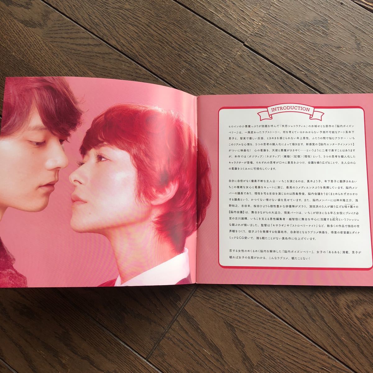 ヤフオク 脳内ポイズンベリー パンフ 真木よう子 西島秀俊 ヤフオク 脳内ポイズンベリー パンフ 真木よう子 西島秀俊