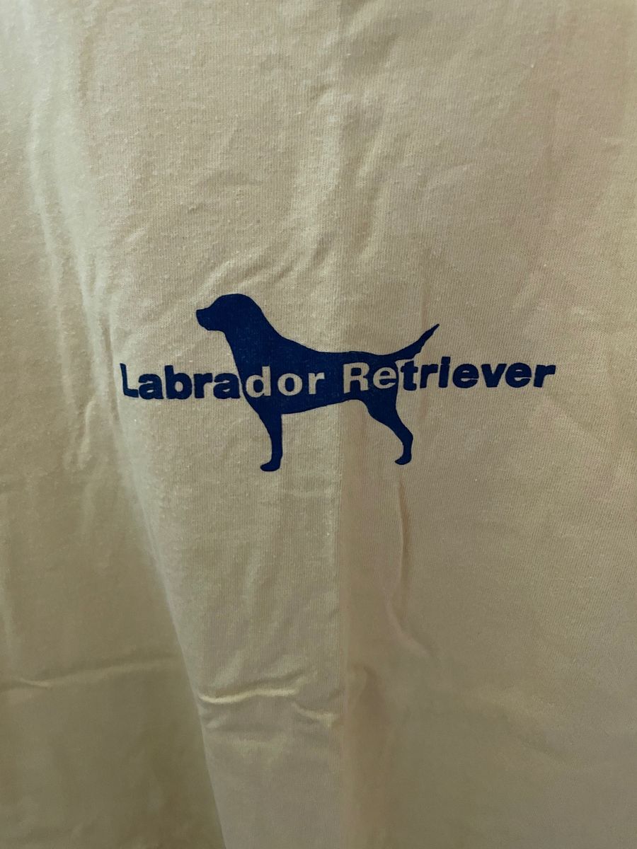Labrador Retriever(ラブラドール レトリバー) Mサイズ　黄色