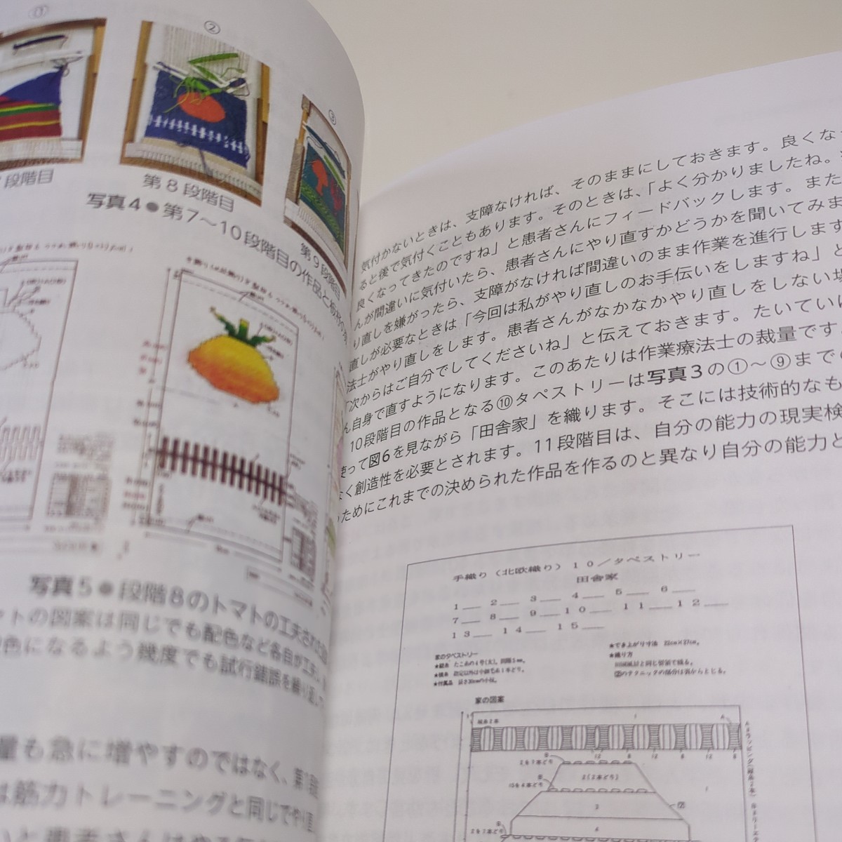 精神科作業療法士の仕事「社会に生きる手助け」という役割 関京子 協同医書出版社 中古