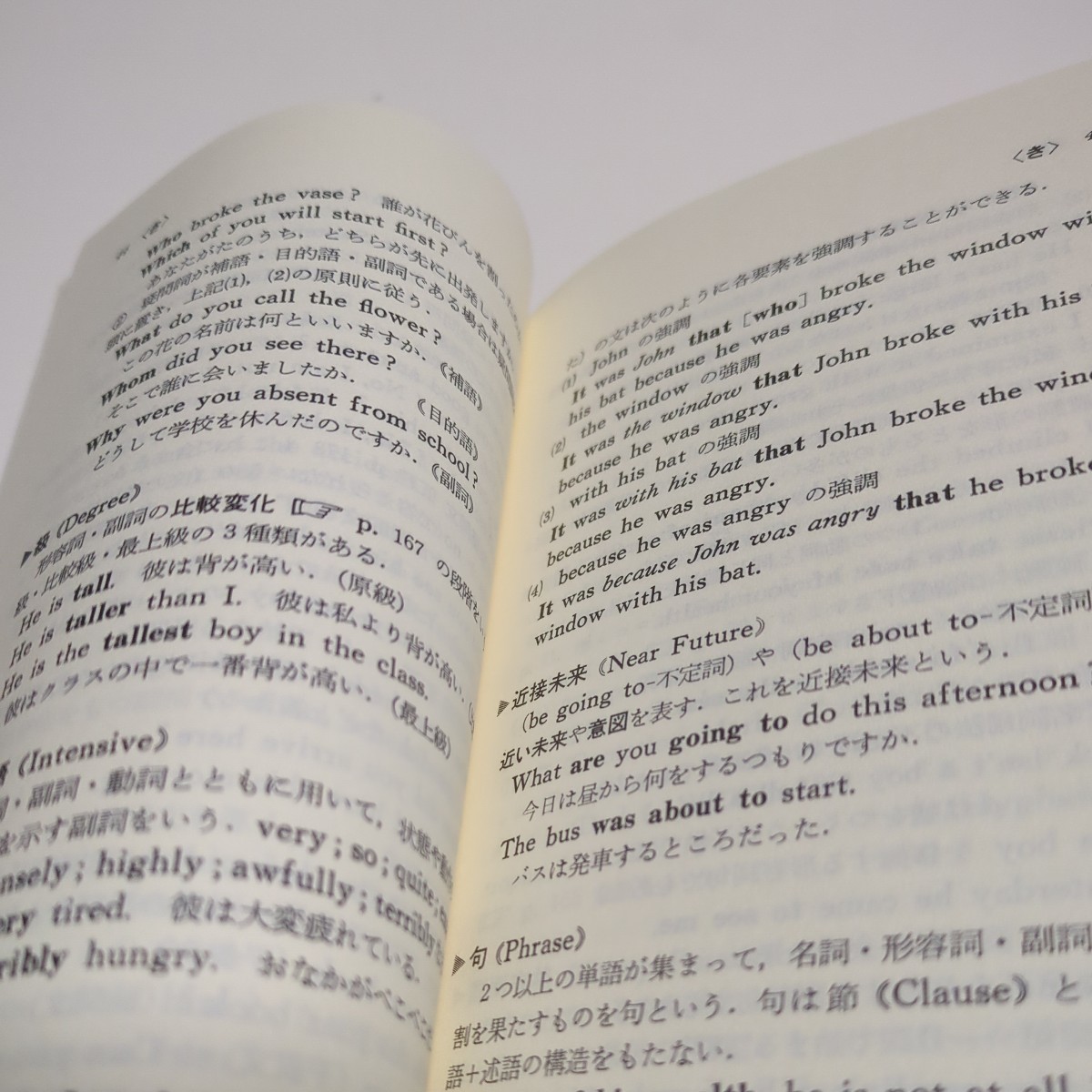 英文法用語事典 佐久間信 駿台文庫 マーカー跡あり 1986年初版第 英文法用語事典 佐久間信 駿台文庫 マーカー跡あり 1986年初版第