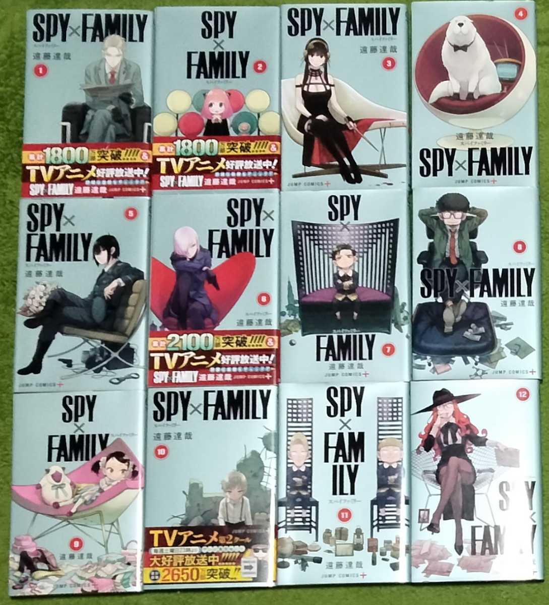 SPY×FAMILY 12巻セット 関連本 - 少年漫画