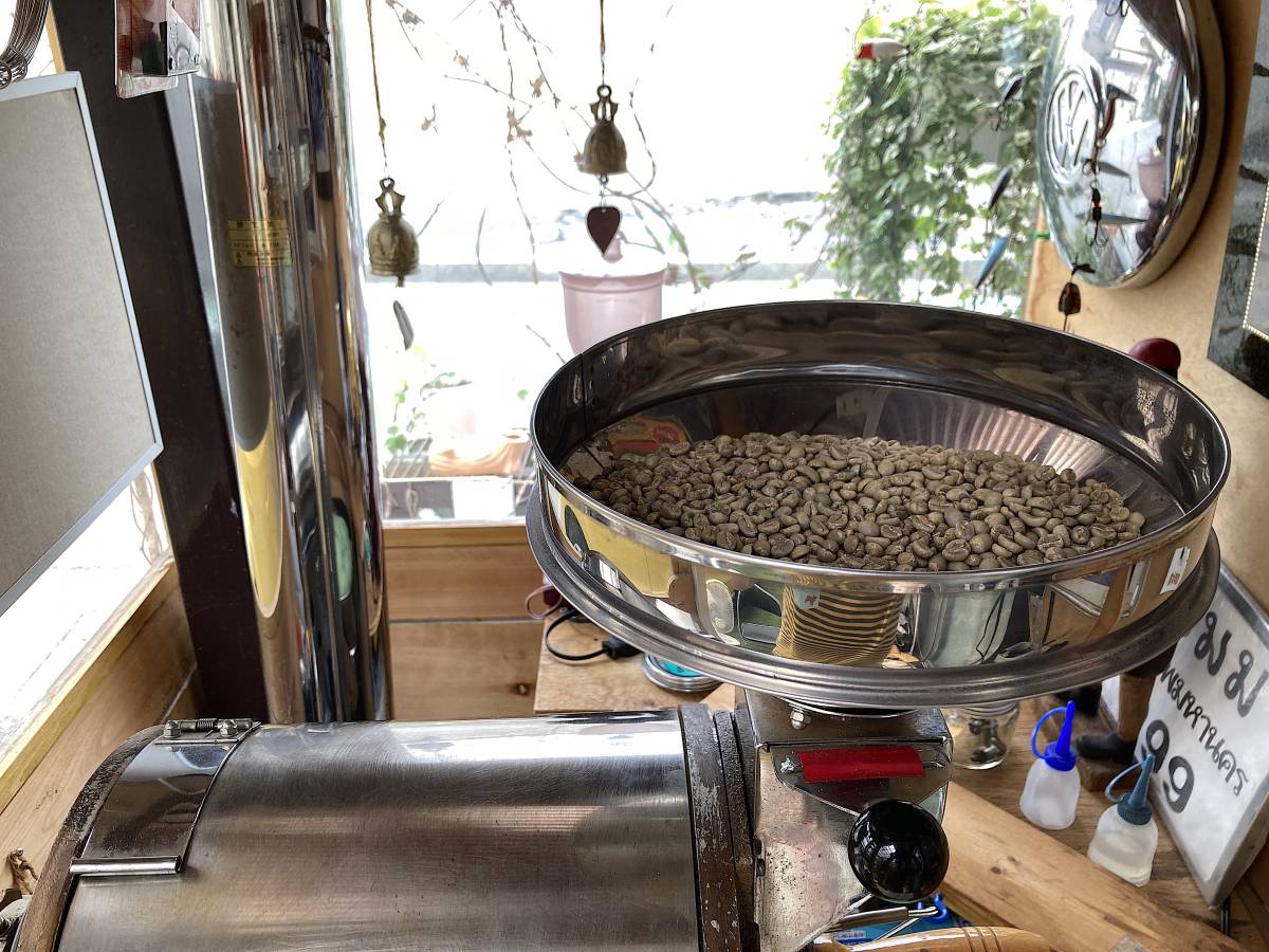自家焙煎アチャオコーヒー　赤道 南緯1度より タンザニア キリマンジャロAA 焙煎したて 300g(100gx3袋） 送料込み！_画像5