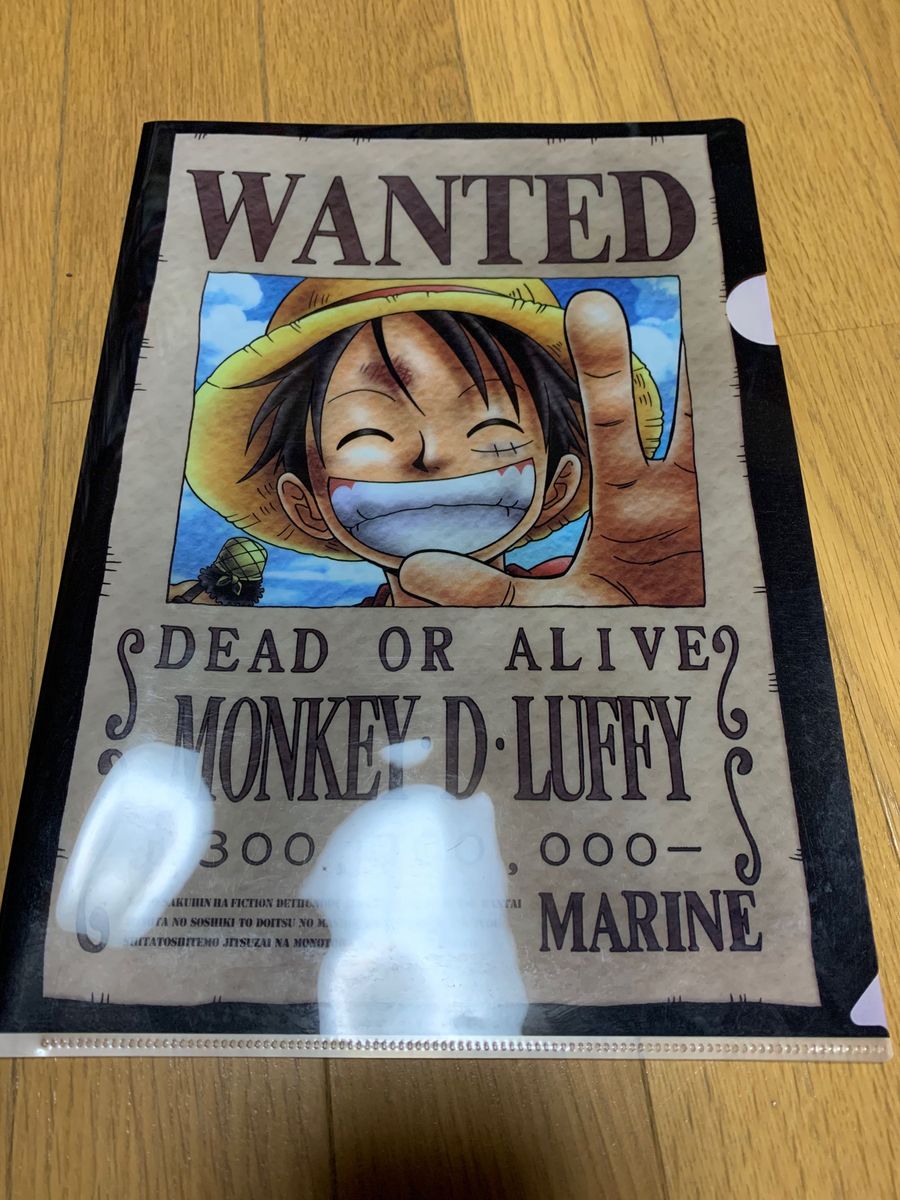 ローソン限定 ONE PIECE ワンピース 手配書 クリアファイル