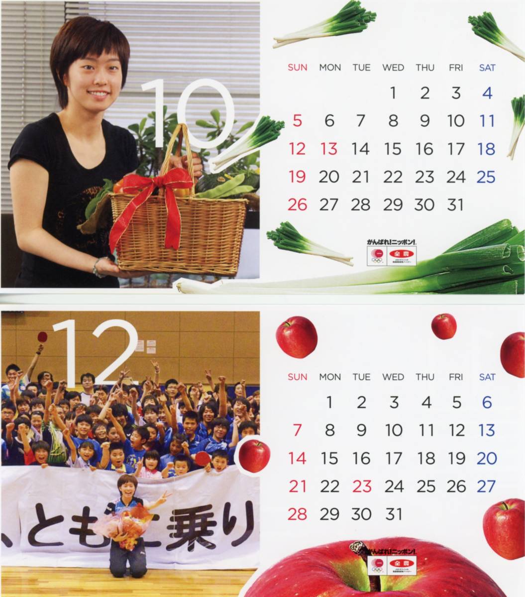 石川佳純 全農 ２０１４ 卓上カレンダー 未使用品_画像9