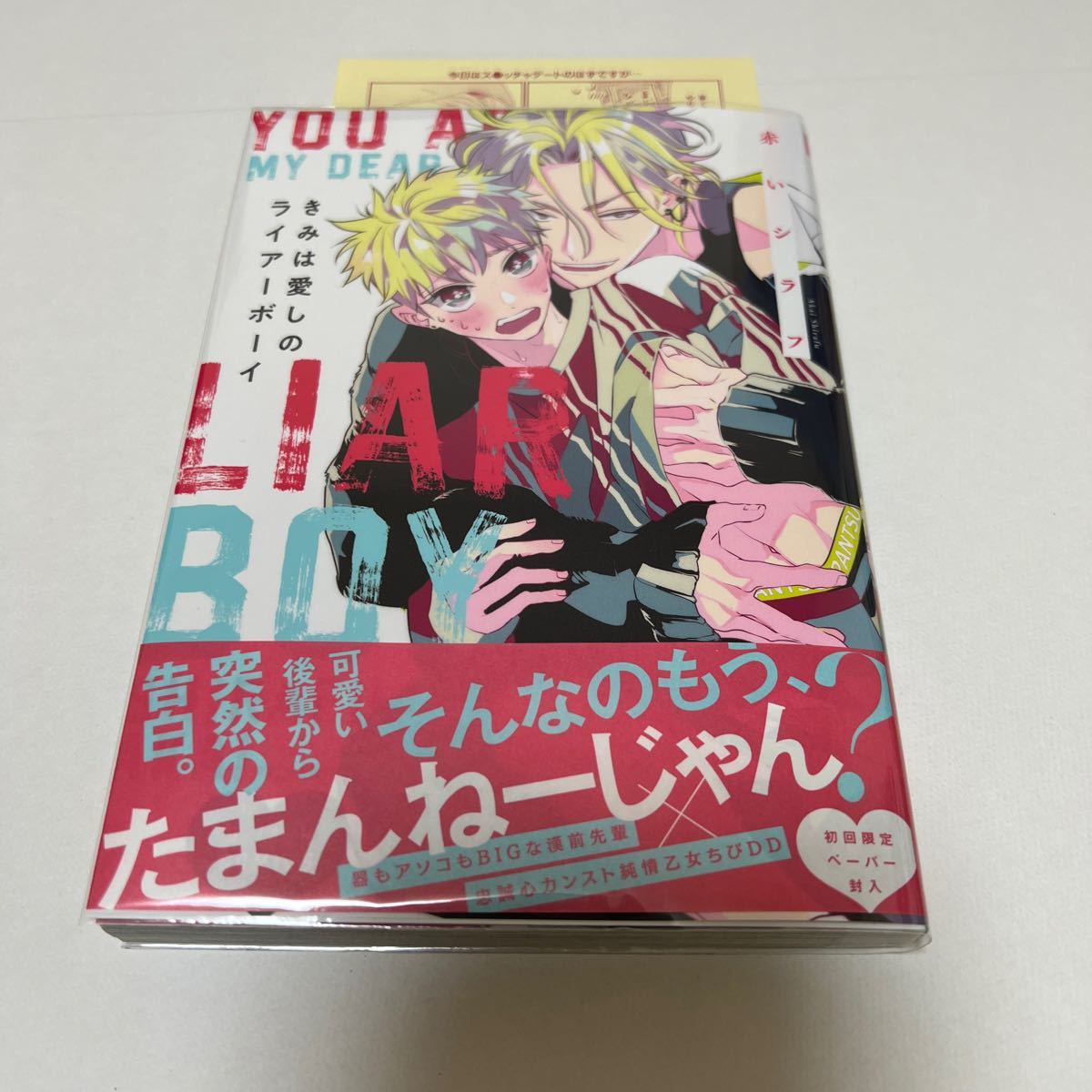 ＢＬ　４０２０　きみは愛しのライアーボーイ…赤いシラフ（ペーパー）