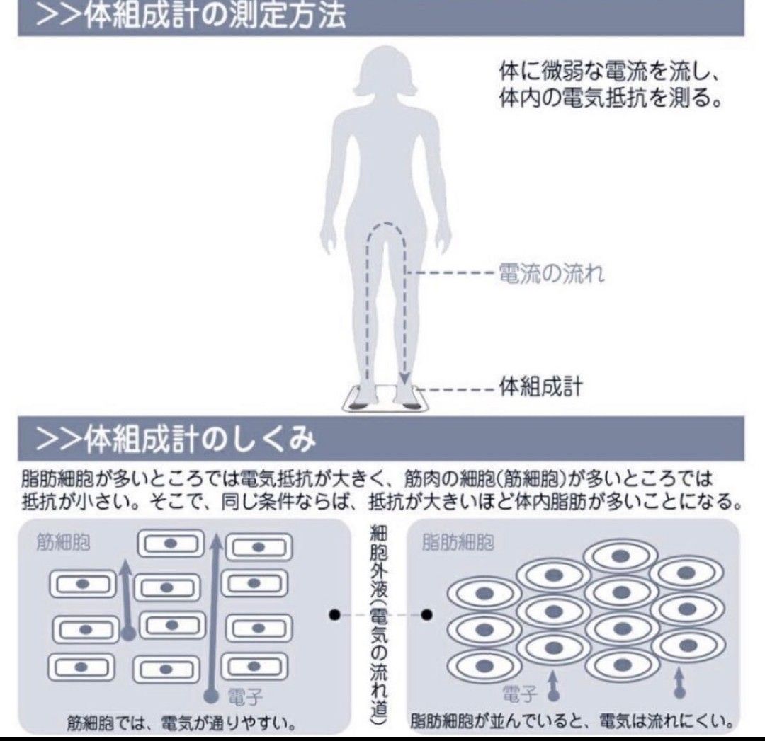 体重計 スマホ連動 体脂肪計 体組成計 ヘルスメーター おしゃれ かわいい Bluetooth　ホワイト