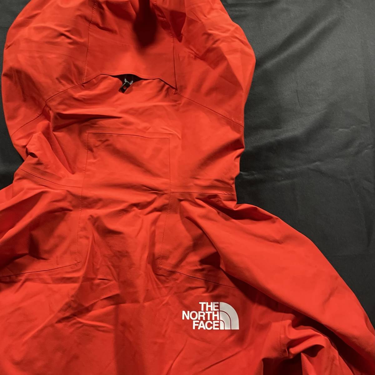 新品 ノースフェイス Lサイズ相当 ジャケット FL L5 LT Jacket THE NORTH FACE フューチャーライト パーカー スノーボード スキー ウェア_画像6