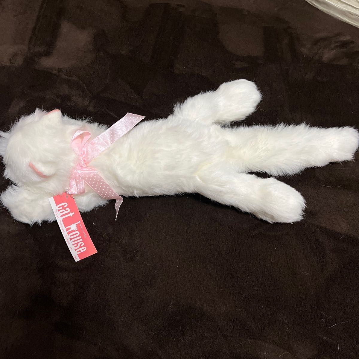 猫 ねこ ネコ オオイケ ペルシャ猫 ボビー 昭和ペルシャ デッド 猫 ねこ ネコ オオイケ ペルシャ猫 ボビー 昭和ペルシャ デッド