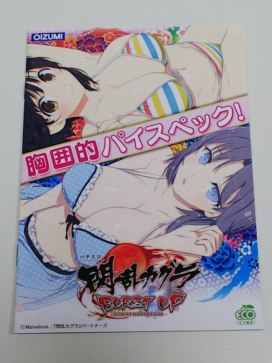 閃乱カグラ　飛鳥　雪泉　雲雀　柳生　葛城　美少女アニメ　小冊子　パチスロ　ガイドブック　小冊子　遊技カタログ　新品　未使用　非売品_画像3