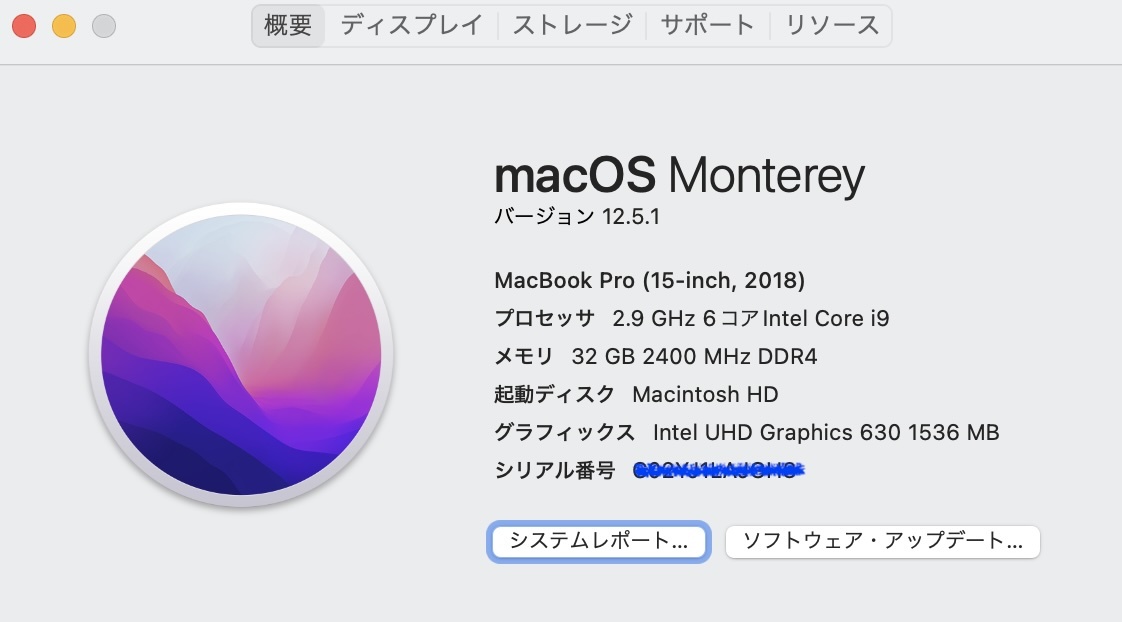 MacBook Pro (15-inch, 2018) Model A1990 2.9 GHz 6コアIntel Core i9 メモリ32GB 2400 MHz DDR4 HD 1TB_画像3