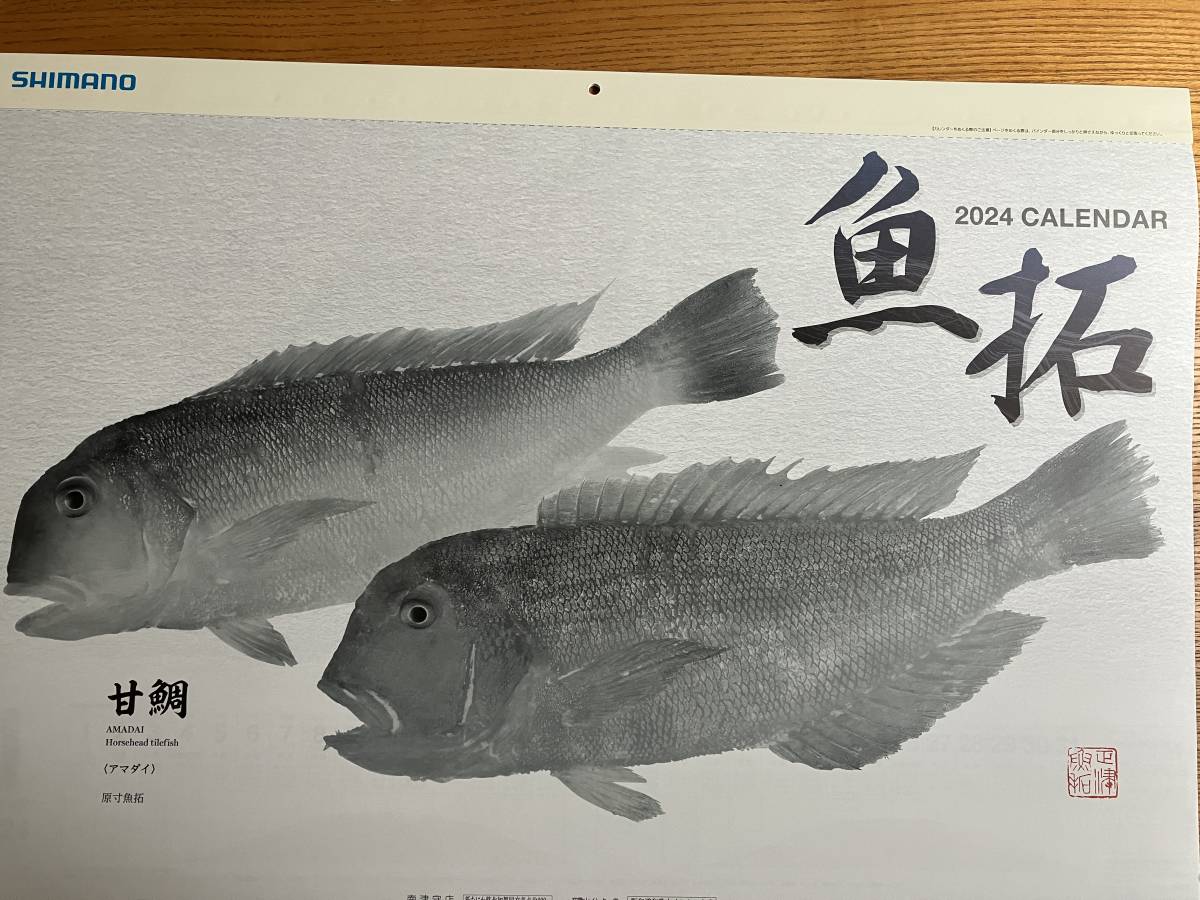 激安★シマノ 　2024年・魚拓カレンダー　店名あり　新品　_画像1