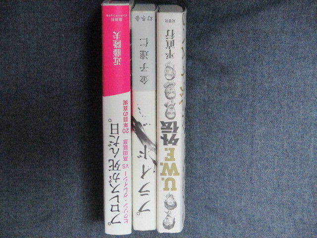 ＵＷＦ・プライド関連書籍3冊セット/前田日明/高田延彦/山崎一夫/船木誠勝/藤原善明/田村潔司/鈴木みのる_画像8