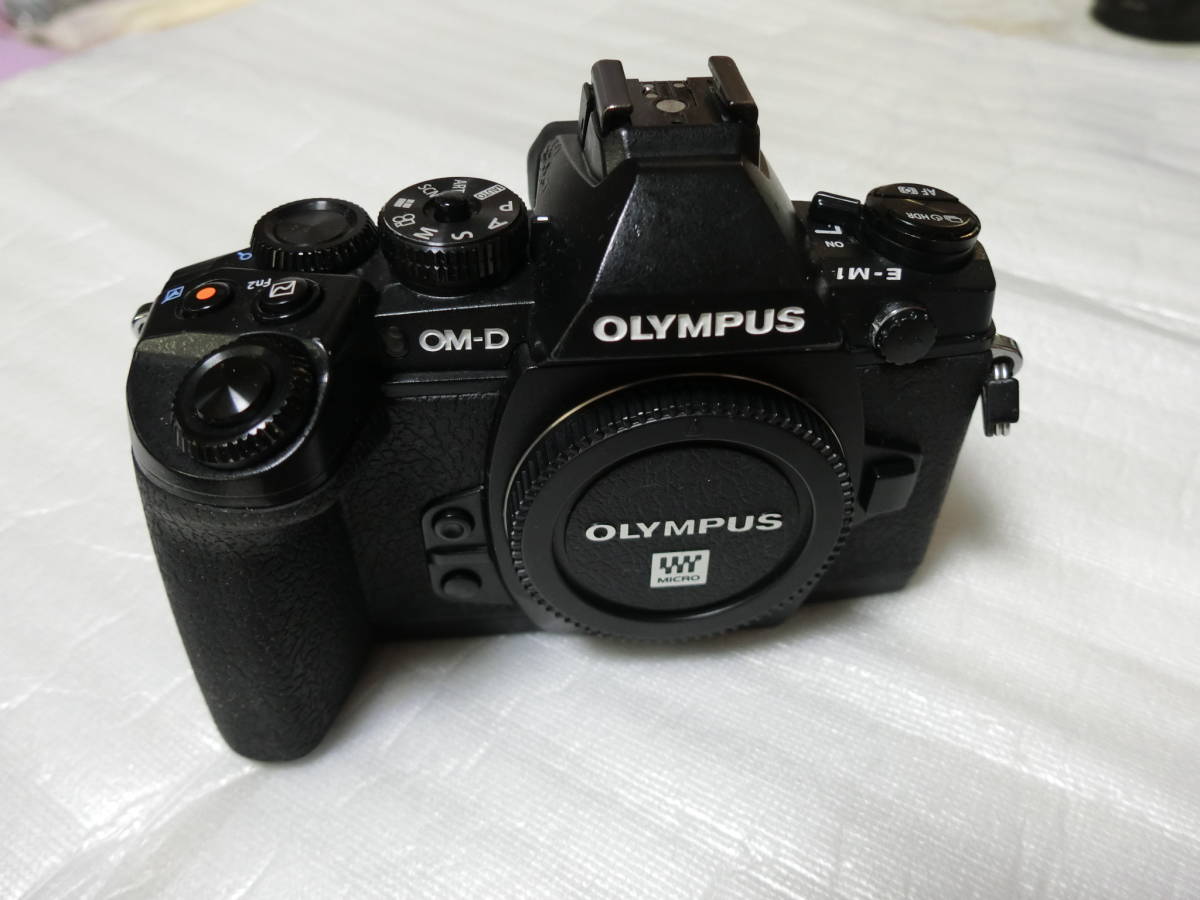 比較的綺麗　中古 初代 OLYMPUS OM-D E-M1　マクロ撮影 深度合成　色々セット_画像8